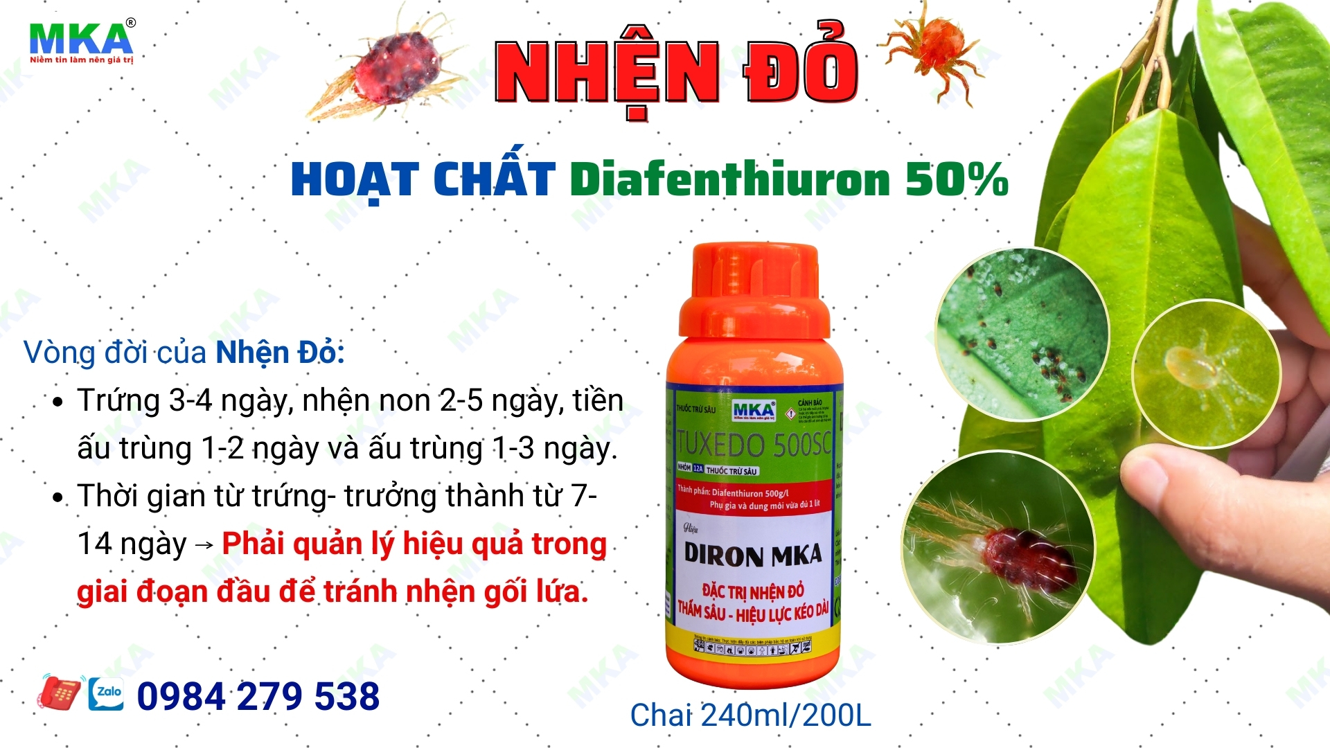thuốc diệt nhện Diron MKA đặc trị nhện đỏ